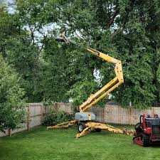 Best Tree Health Inspection  in Sylvania, GA